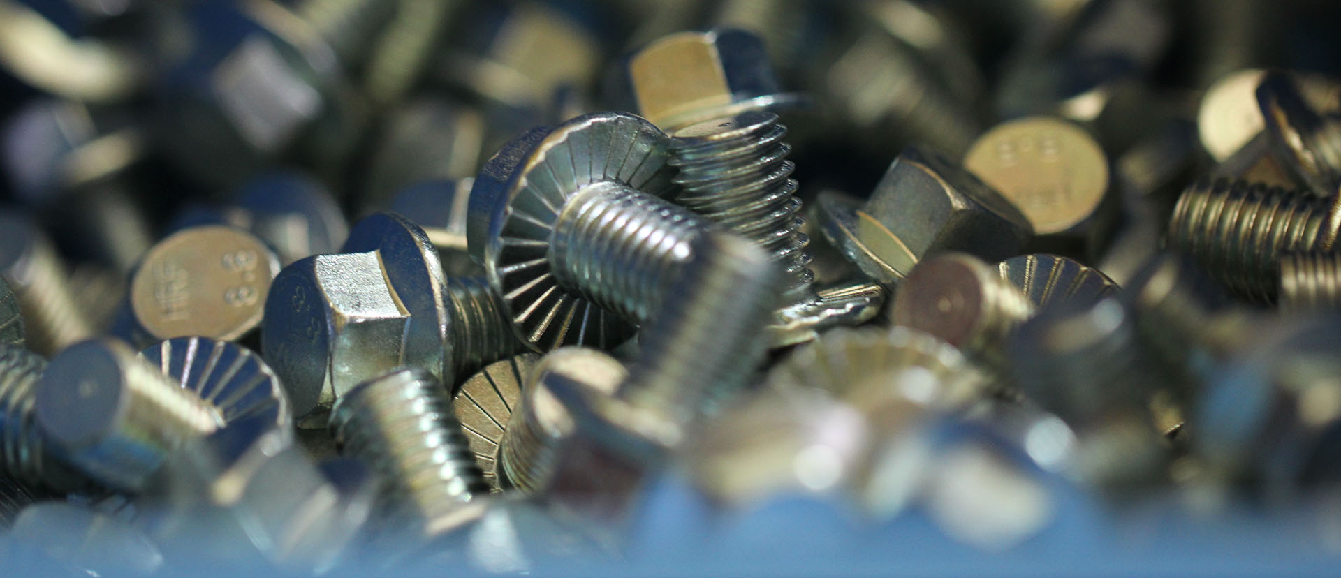 ������˿